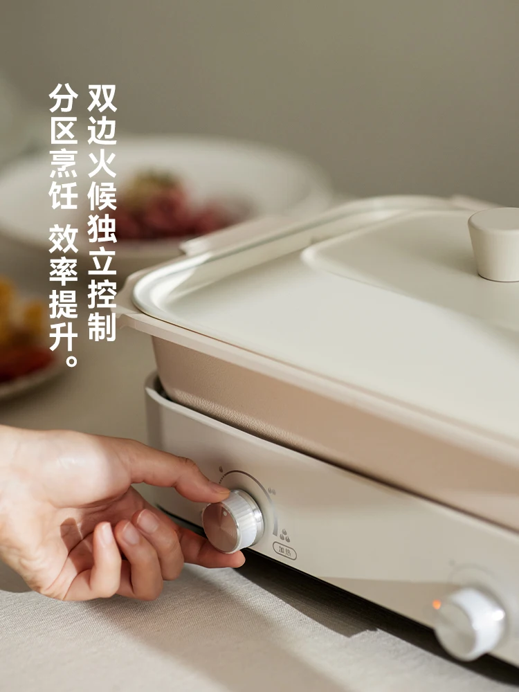 220V Olayks Multi Function Ele - Home Cooking Electric 评论和价格