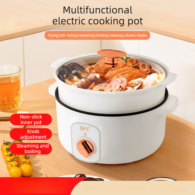 Multifunctional Mini Electric  - Home Cooking Electric 评论和价格