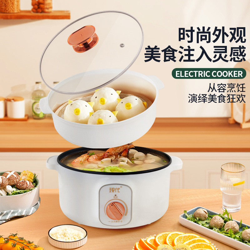 Multifunctional Mini Electric  - Home Cooking Electric 评论和价格