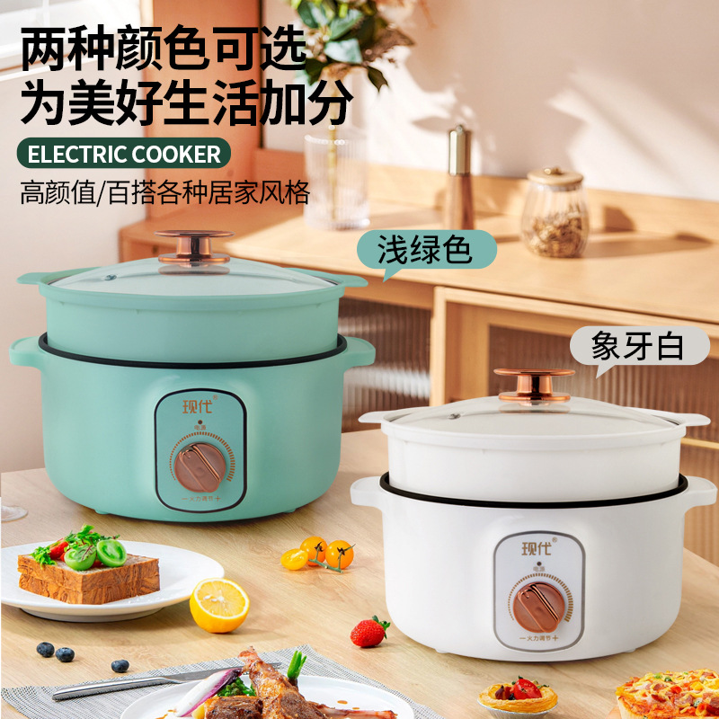 Multifunctional Mini Electric  - Home Cooking Electric 评论和价格