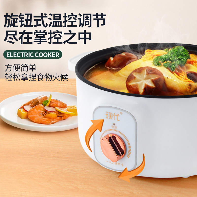 Multifunctional Mini Electric  - Home Cooking Electric 评论和价格